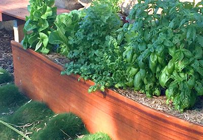 Organic Gardens